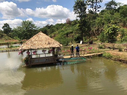 Thư viện chuẩn mô hình vườn  ao  chuồng độc nhất vô nhị ở Hà Nội  SÀN  GIAO DỊCH BẤT ĐỘNG SẢN HẢI PHÁT LAND ONLINE